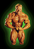 guyflex